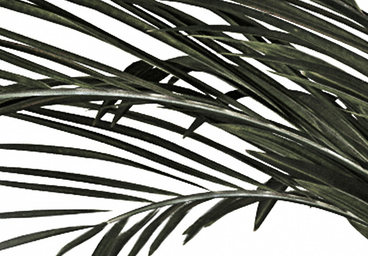 Canvas Home palm tree - minimalistic botanical motif with palm leaves 123664 additionalImage 4
