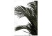 Canvas Home palm tree - minimalistic botanical motif with palm leaves 123664