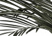 Canvas Home palm tree - minimalistic botanical motif with palm leaves 123664 additionalThumb 4