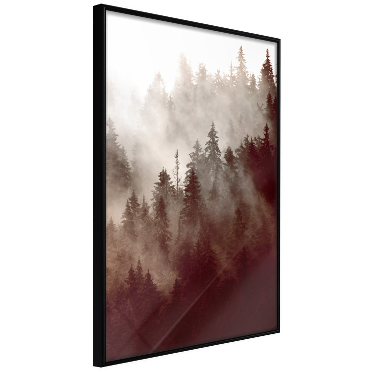 Wall Poster Brown Forest - landscape of forest against trees in fog in sepia motif 123864 additionalImage 10