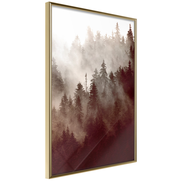 Wall Poster Brown Forest - landscape of forest against trees in fog in sepia motif 123864 additionalImage 12