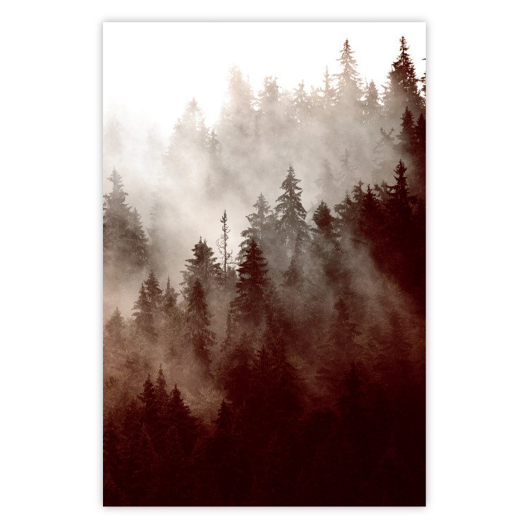 Wall Poster Brown Forest - landscape of forest against trees in fog in sepia motif 123864