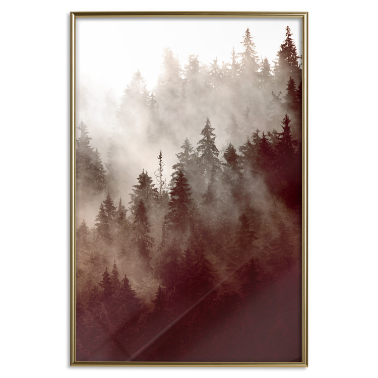 Wall Poster Brown Forest - landscape of forest against trees in fog in sepia motif 123864 additionalImage 16