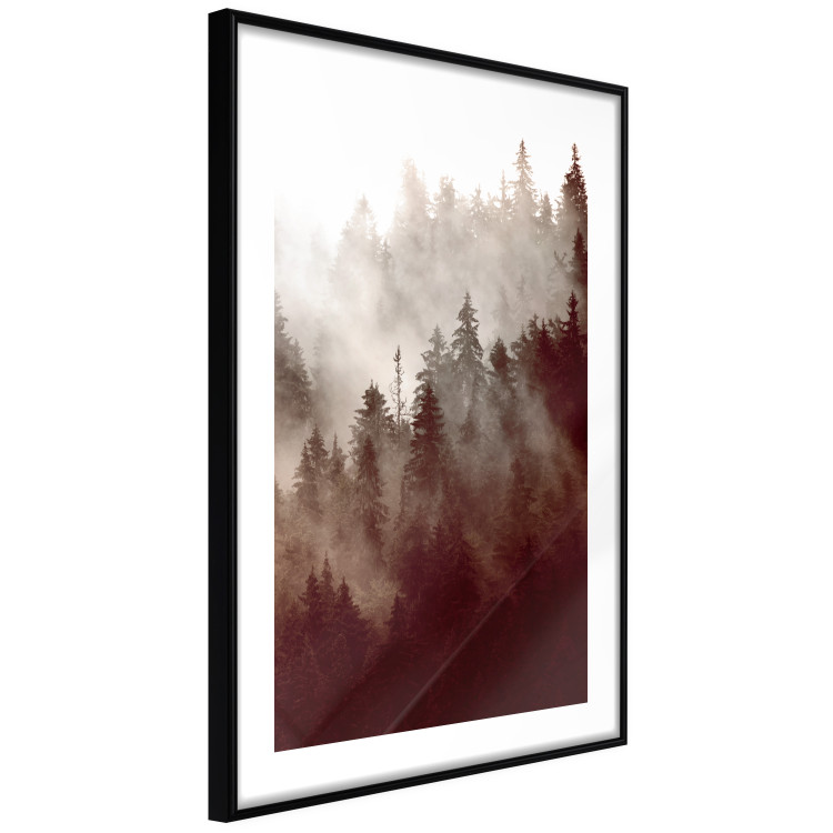 Wall Poster Brown Forest - landscape of forest against trees in fog in sepia motif 123864 additionalImage 11
