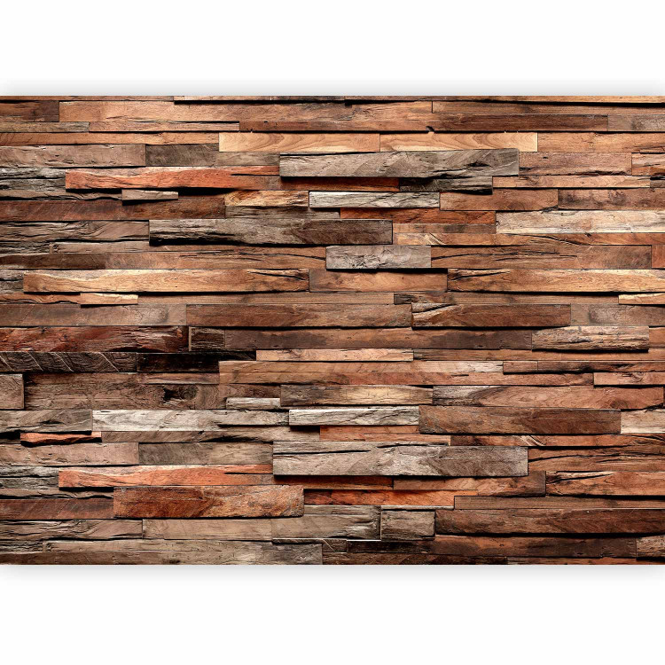 Wall Mural Cedar Smell (Brown) 125064 additionalImage 5