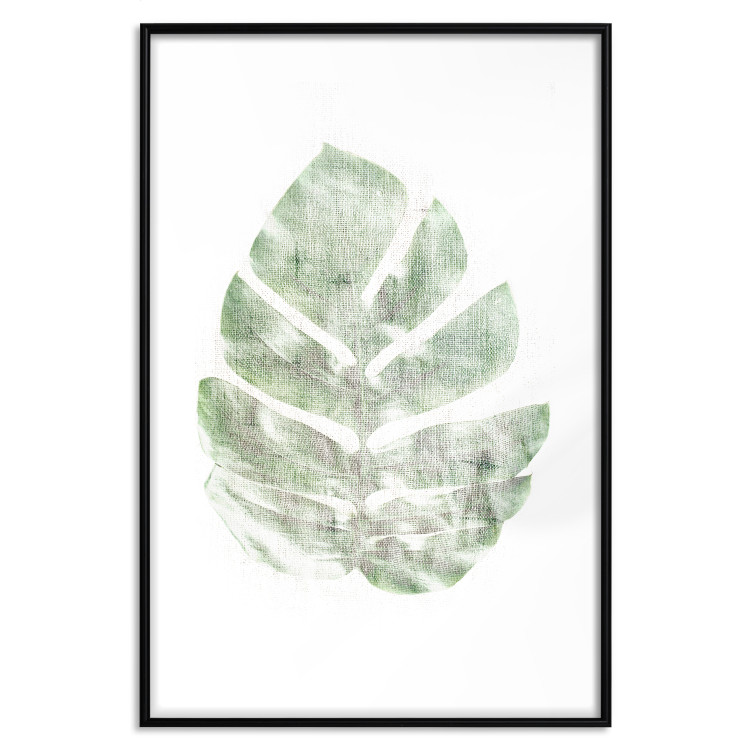 Wall Poster Green Sketch - monstera leaf on a gently blurred white texture 126864 additionalImage 15
