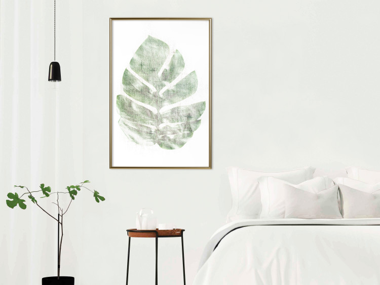 Wall Poster Green Sketch - monstera leaf on a gently blurred white texture 126864 additionalImage 5