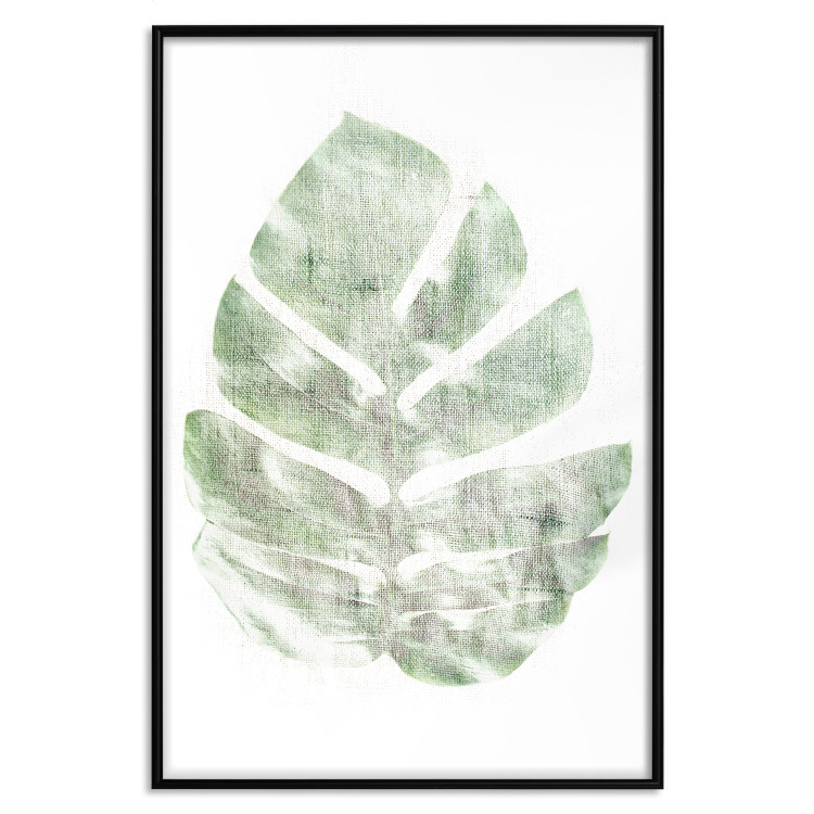 Wall Poster Green Sketch - monstera leaf on a gently blurred white texture 126864 additionalImage 16