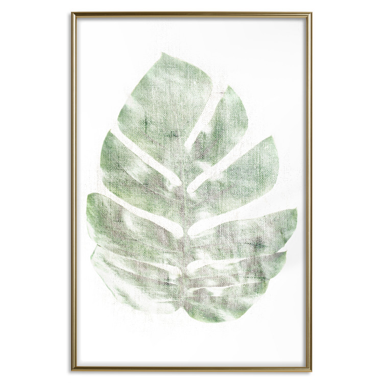Wall Poster Green Sketch - monstera leaf on a gently blurred white texture 126864 additionalImage 17