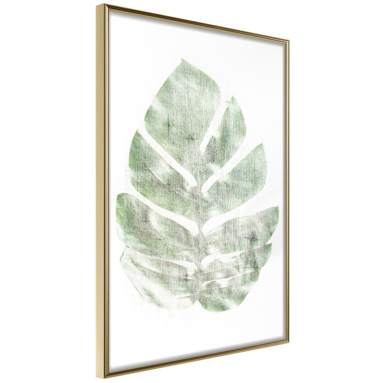 Wall Poster Green Sketch - monstera leaf on a gently blurred white texture 126864 additionalImage 12
