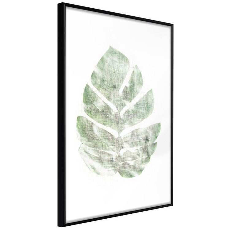 Wall Poster Green Sketch - monstera leaf on a gently blurred white texture 126864 additionalImage 6
