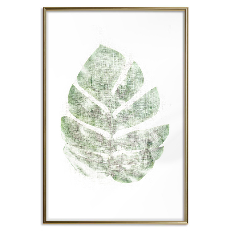 Wall Poster Green Sketch - monstera leaf on a gently blurred white texture 126864 additionalImage 14