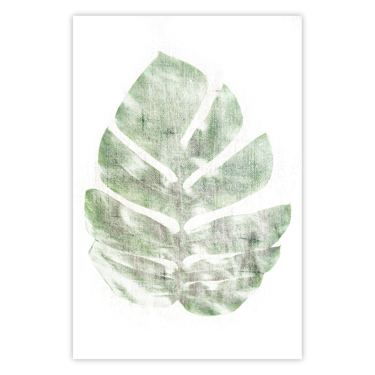 Wall Poster Green Sketch - monstera leaf on a gently blurred white texture 126864