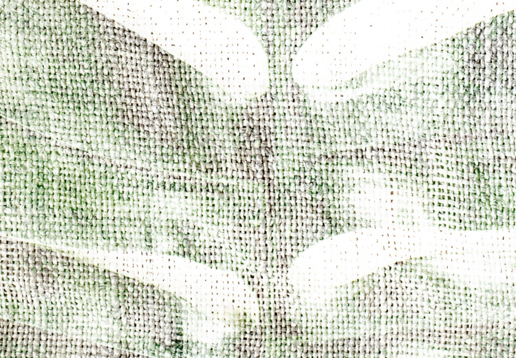 Wall Poster Green Sketch - monstera leaf on a gently blurred white texture 126864 additionalImage 9