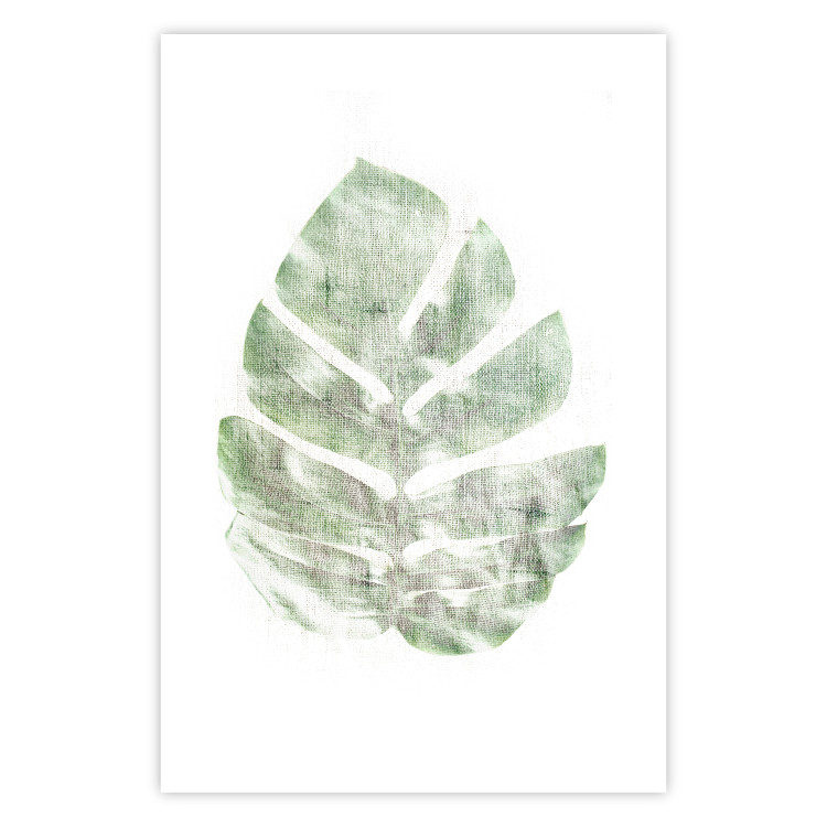 Wall Poster Green Sketch - monstera leaf on a gently blurred white texture 126864 additionalImage 19