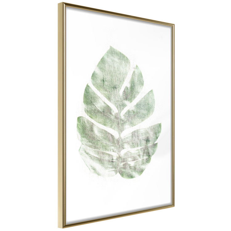 Wall Poster Green Sketch - monstera leaf on a gently blurred white texture 126864 additionalImage 7