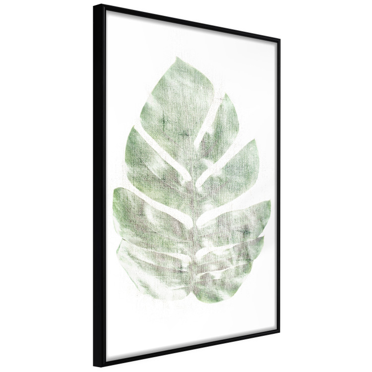 Wall Poster Green Sketch - monstera leaf on a gently blurred white texture 126864 additionalImage 11