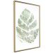 Wall Poster Green Sketch - monstera leaf on a gently blurred white texture 126864 additionalThumb 12
