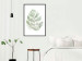 Wall Poster Green Sketch - monstera leaf on a gently blurred white texture 126864 additionalThumb 18
