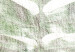Wall Poster Green Sketch - monstera leaf on a gently blurred white texture 126864 additionalThumb 9