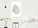 Wall Poster Green Sketch - monstera leaf on a gently blurred white texture 126864 additionalThumb 3
