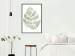 Wall Poster Green Sketch - monstera leaf on a gently blurred white texture 126864 additionalThumb 4