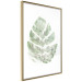 Wall Poster Green Sketch - monstera leaf on a gently blurred white texture 126864 additionalThumb 7