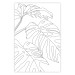 Poster Monstera Composition - line art of tropical plant leaves on white background 128364