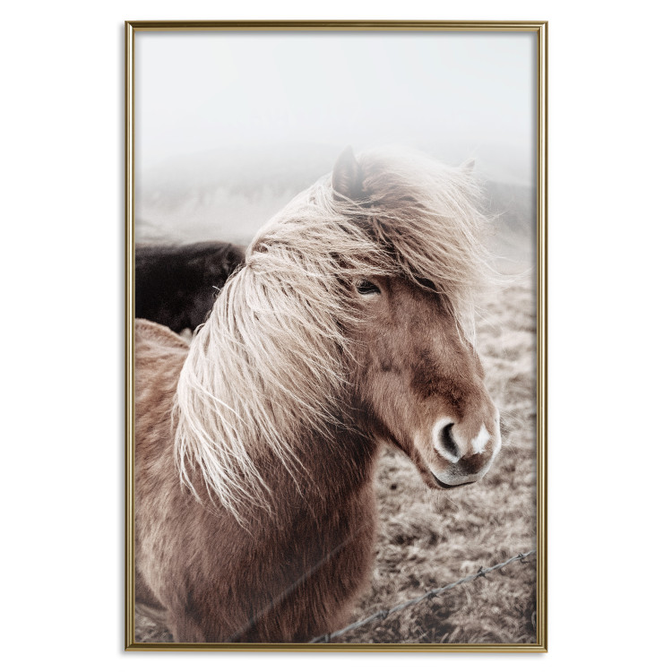 Wall Poster Against the Wind - brown horse with mane against a field backdrop and intense fog 130264 additionalImage 15