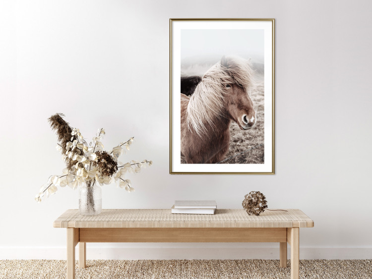 Wall Poster Against the Wind - brown horse with mane against a field backdrop and intense fog 130264 additionalImage 13