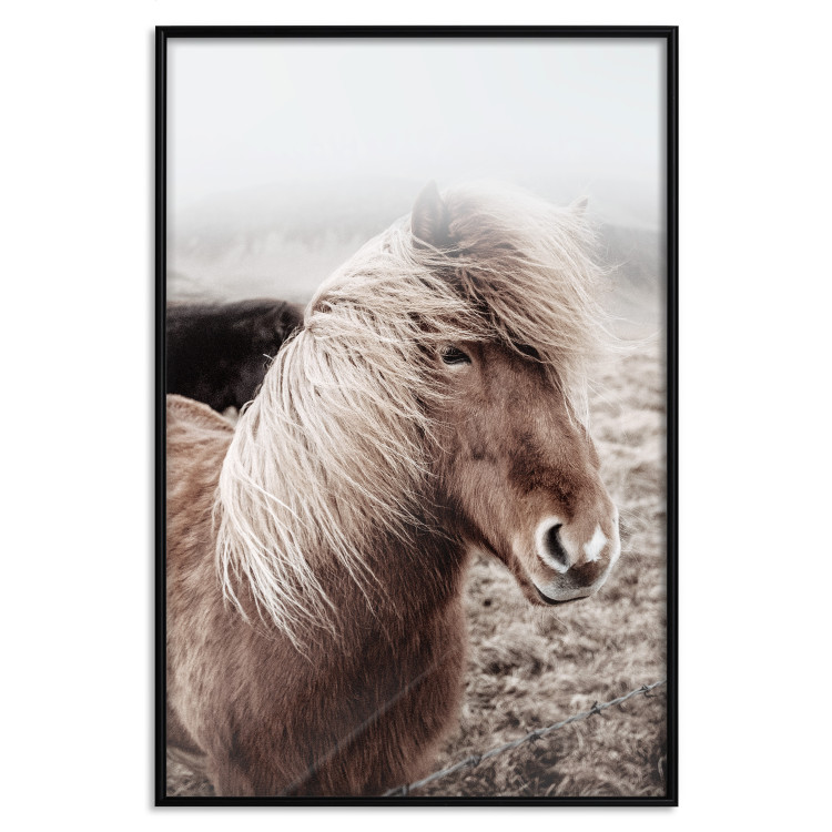 Wall Poster Against the Wind - brown horse with mane against a field backdrop and intense fog 130264 additionalImage 14