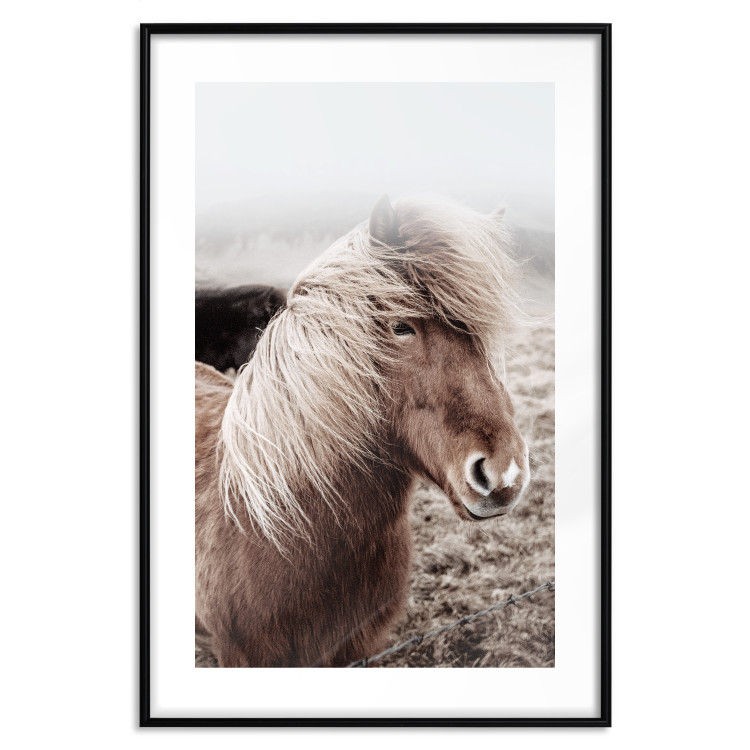 Wall Poster Against the Wind - brown horse with mane against a field backdrop and intense fog 130264 additionalImage 17