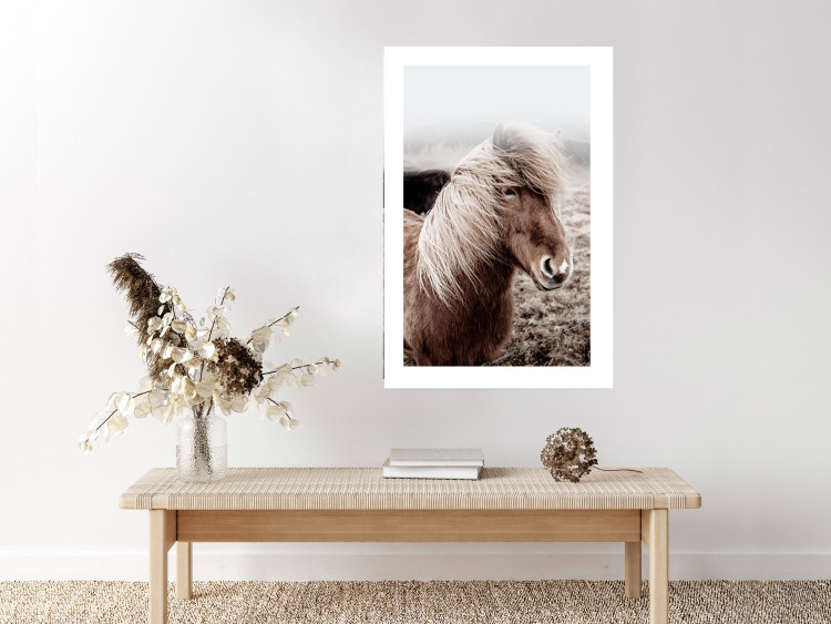 Wall Poster Against the Wind - brown horse with mane against a field backdrop and intense fog 130264 additionalImage 3