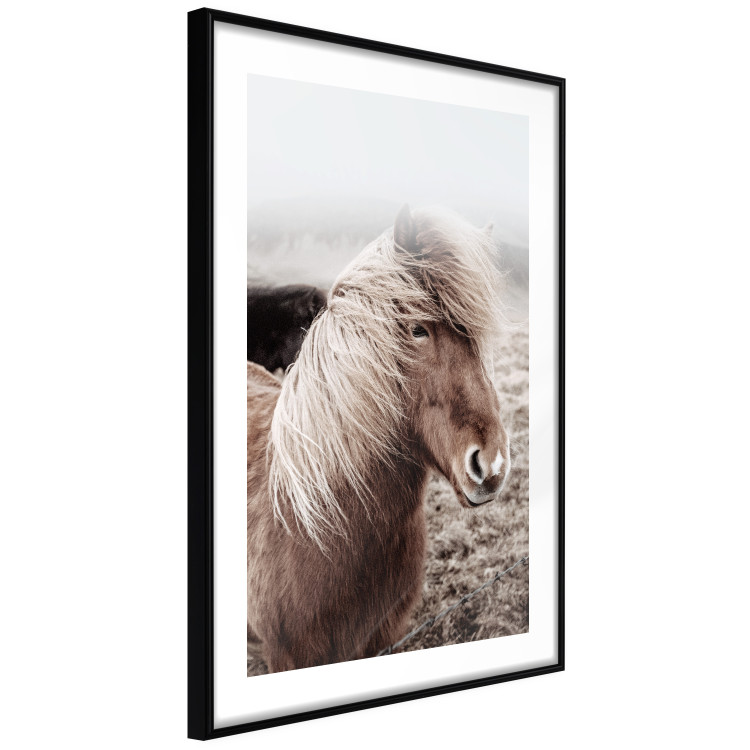 Wall Poster Against the Wind - brown horse with mane against a field backdrop and intense fog 130264 additionalImage 6