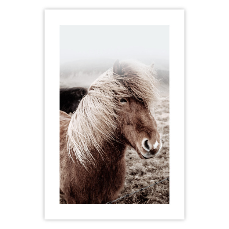 Wall Poster Against the Wind - brown horse with mane against a field backdrop and intense fog 130264 additionalImage 18
