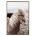 Wall Poster Against the Wind - brown horse with mane against a field backdrop and intense fog 130264 additionalThumb 15