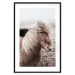 Wall Poster Against the Wind - brown horse with mane against a field backdrop and intense fog 130264 additionalThumb 17