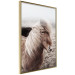 Wall Poster Against the Wind - brown horse with mane against a field backdrop and intense fog 130264 additionalThumb 12