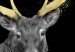 Canvas Golden Antlers (5-piece) Wide - silver stag and moon at night 143264 additionalThumb 4