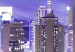 Canvas Moonlit night in New York City 58364 additionalThumb 4