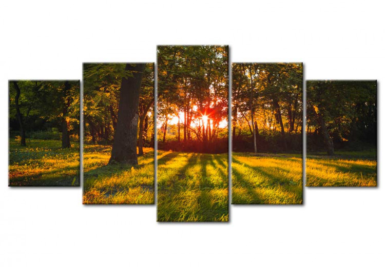 Canvas Print In the shade of forest 61764