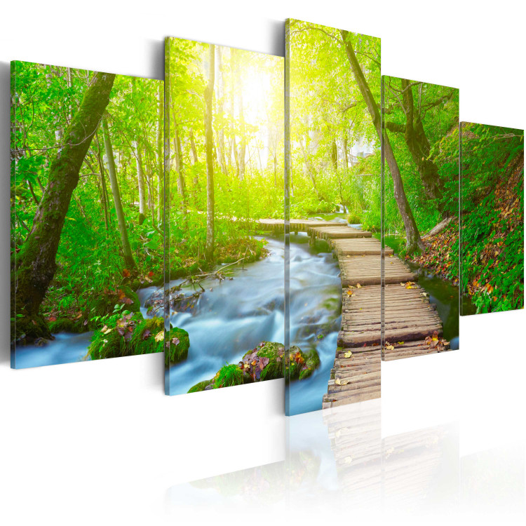 Canvas Sunny Forest 62064 additionalImage 2