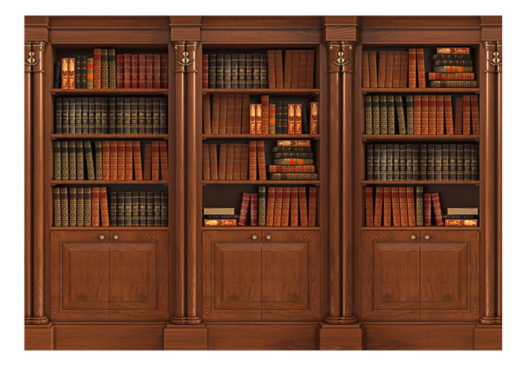 Wall Mural Elegant Library 89964 additionalImage 1