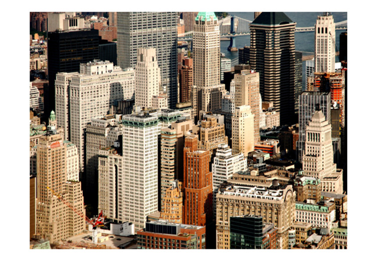 Wall Mural Skyscrapers of New York - urban landscape with Manhattan architecture 97964 additionalImage 1