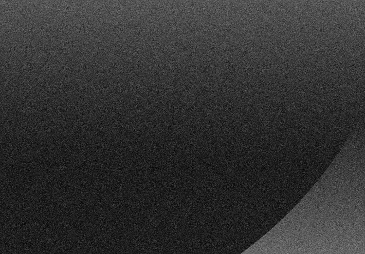 Canvas Print Partial Eclipse (1 Part) Vertical 116574 additionalImage 4