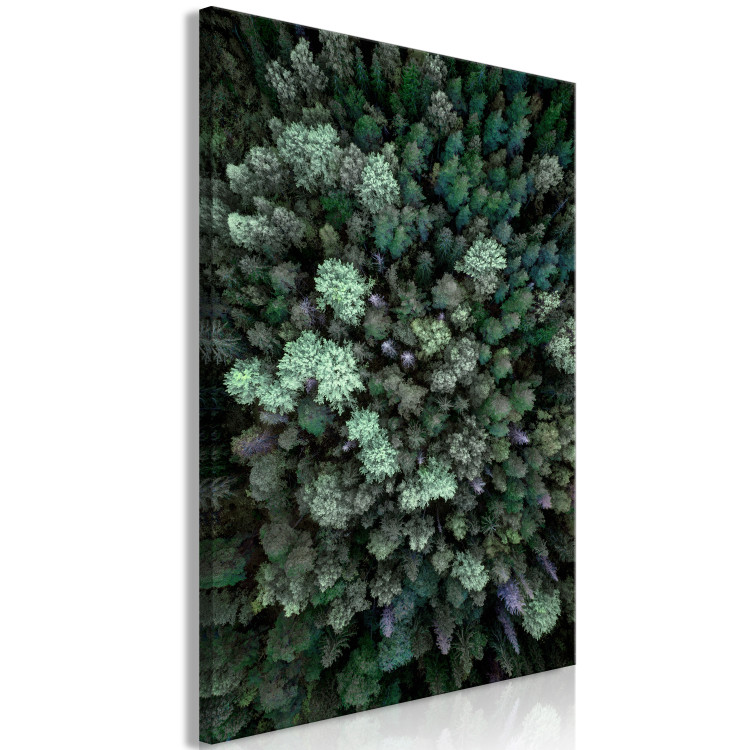 Canvas Print Flying Over Forest (1 Part) Vertical 117074 additionalImage 2