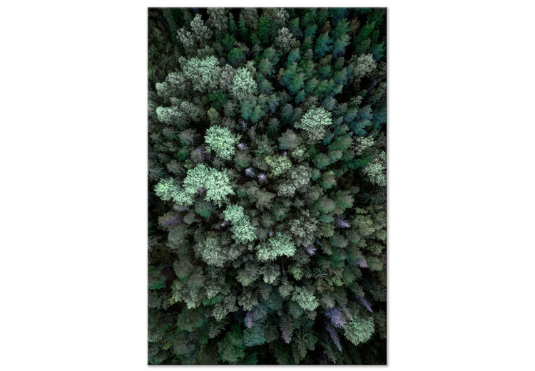 Canvas Print Flying Over Forest (1 Part) Vertical 117074