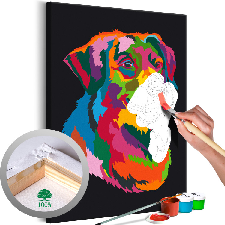 Paint by number Colourful Dog 117574