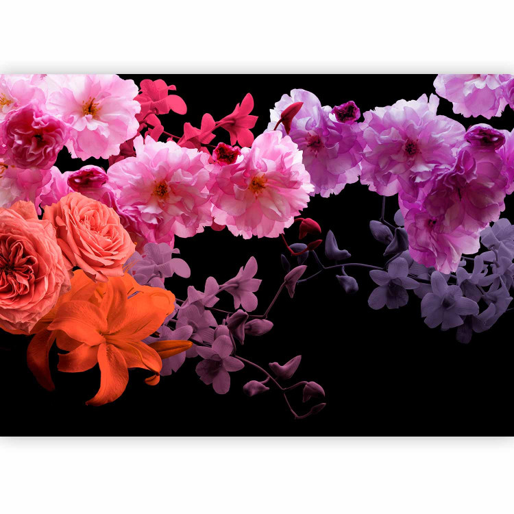 Photo Wallpaper Nature cocktail - colourful flowers on a solid black background 118374 additionalImage 5