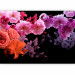 Photo Wallpaper Nature cocktail - colourful flowers on a solid black background 118374 additionalThumb 5